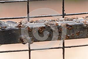 A rusted Gate
