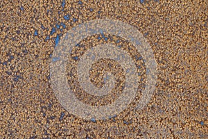 Rusted iron texture for background , closeup