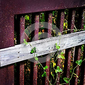 Rusted Iron and Wood Bridge Railing