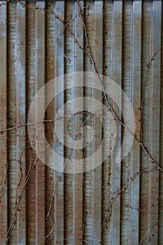 Rusted metal door background. Old rusted metal texture. Old metal surface.