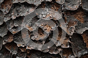 Rusted metal texture with corrosion, patina for 3D projects, close up wallpaper background