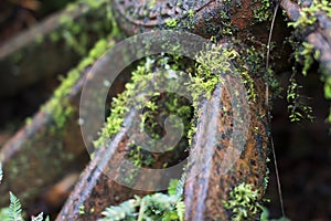 Rusted metal wheel spokes