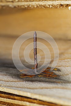 Rusted nail in blank