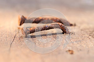 Rusted nails on old wooden