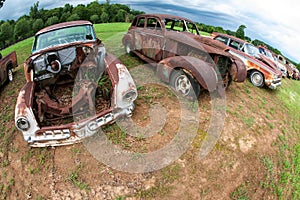 Rusted Old Cars Sit In A Georgia Auto Junkyard