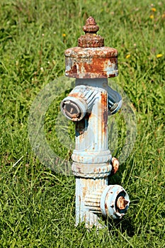 Rusted old vintage retro metal fire hydrant with faded light blue color surrounded with tall green grass and small flowers