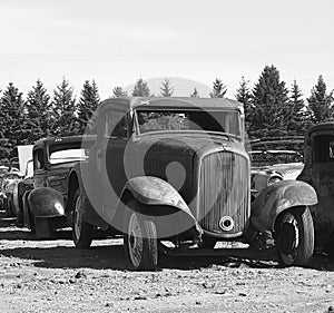 Rusted Out Antique Cars