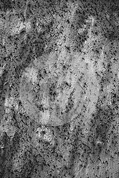 Rusted and oxidized metal background. Black and white version