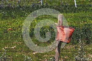 A rusted pail hanging on a fence post