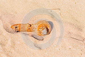 Rusted pipe in the sand