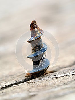 Rusted screw. Macro shot