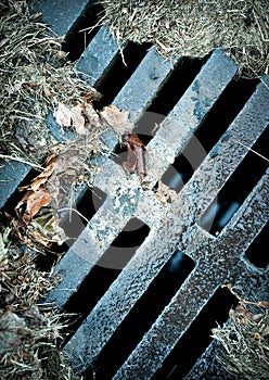 Rusted Sewer Grate