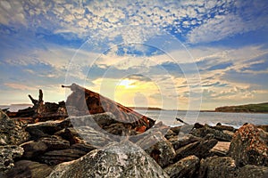 Rusted shipwreck at Botany Bay Sydney Australia