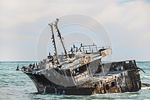 Rusted shipwreck on the shore with Cape Cormorant birds.