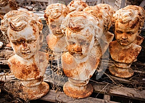 Rusted Statuary Heads