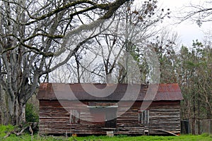 Rusted tin roof barn old trees fresh grass