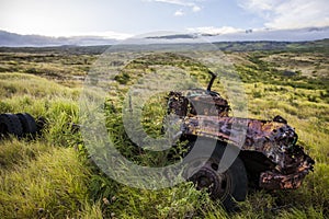 Rusted vintage car in field, Hawaii