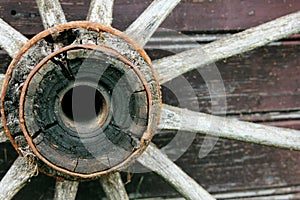 Rusted wheel in Latvia in Sabile town.