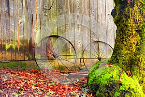 Rusted Wheels lean against a barn amongst autumn leaves