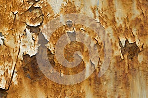 Rusted white painted metal wall. Metal  abstract texture. Rusty metal background closeup