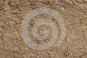Rustic adobe wall with plant stems - texture and full-frame background