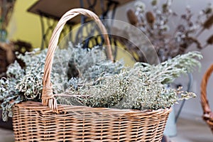 Rustic aesthetics of a basket filled with dried plants in a cozy room