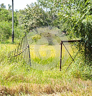 Rustic aged metal gate opening into t he paddy field, rural village landscape photograph