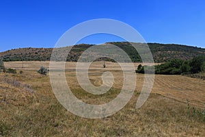Rustic agricultural background in open field outside the city