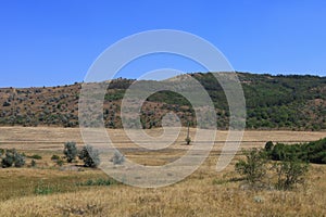 Rustic agricultural background in open field outside the city