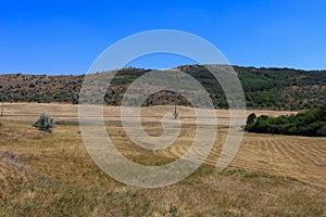 Rustic agricultural background in open field outside the city