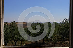 Rustic agricultural background in open field outside the city