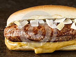 Rustic american hot dog with mustard and onion
