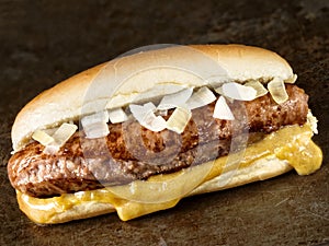 Rustic american hot dog with mustard and onion