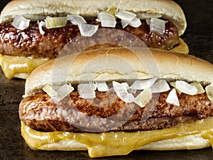 Rustic american hot dog with mustard and onion