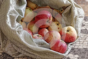 Rustic apples in a rough fabric bag. Natural rural products. Ecological fruits without pesticides and GMOs