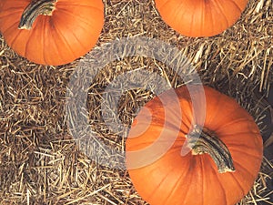 Rustic Fall Pumpkins and Hay Background From Directly Above photo