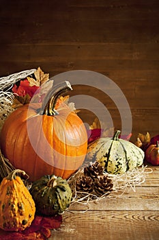 Rustic autumn still life with copy space