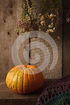 A rustic autumn still life with pumpkin, dry heral flowers and woolen scarf on a wooden surface. Thanksgiving, coutryside And Fall