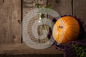 A rustic autumn still life with pumpkin and woolen scarf on a wooden surface. Thanksgiving, coutryside And Fall Background.