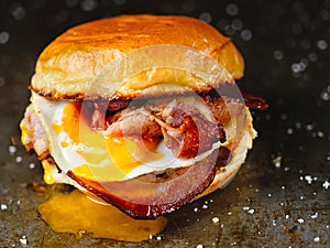 Rustic bacon egg breakfast sandwich bun