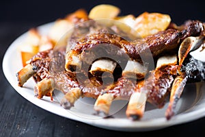 Rustic barbequed pork ribs