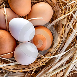 A rustic basket filled with fresh, organic eggs nestled in straw, highlighting the natural, farm-to-table produce