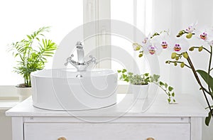 Rustic bathroom sink before bright window light with house plants