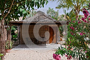 Rustic Beach Hut