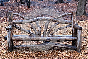 Rustic Bench in Central Park New York City