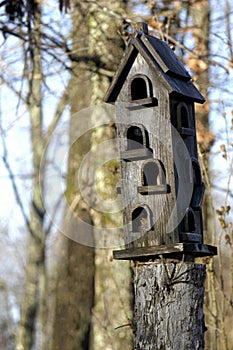 Rustic Birdhouse photo