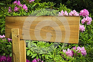 Rustic blank wooden signpost in the garden in front of a flower bed