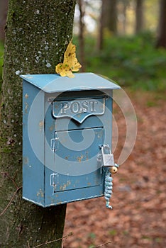 Rustic Blue Mailbox on Tree with Autumn Decor