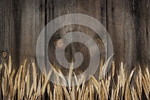 Rustic Boards Wheat Background