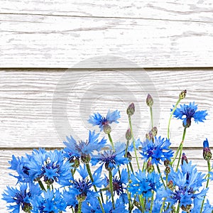 Rustic Border of Blue Cornflower on wood white background photo